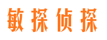 宜秀市私家侦探